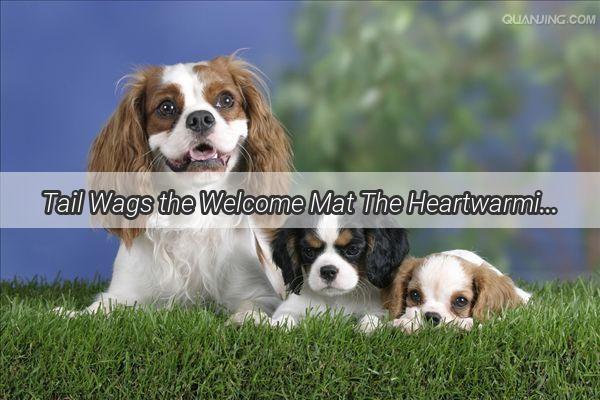 Tail Wags the Welcome Mat The Heartwarming Moment a Dog Greets Its Owner Lying Down